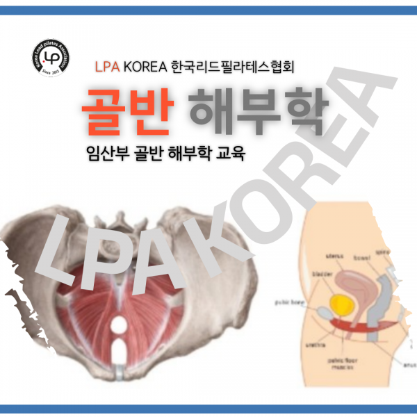 dfcef24a272bfb522e7f31e2ced4b67a_1709100204_0178.png